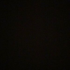 Meet your Posher, Abigail